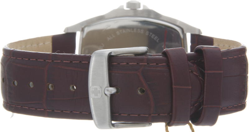 Hanowa Swiss Military Polarstar 06-4173.04.001.05 Hanowa Swiss Military Polarstar 06-4173.04.001.05