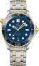 Omega Seamaster Professional Diver 300M 210.20.42.20.03.001