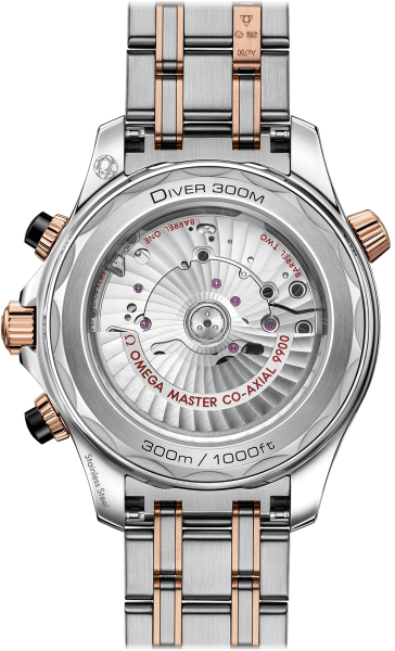 Omega Seamaster Professional Diver 300M 210.20.44.51.01.001