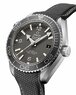 Omega Seamaster Planet Ocean 600M 215.32.44.21.01.002