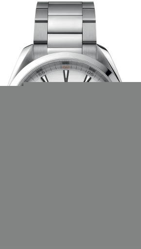 Omega Seamaster Aqua Terra 150M 220.10.41.21.02.001