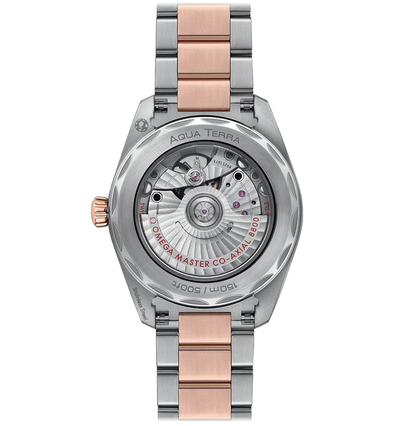 Omega Seamaster Aqua Terra 150M 220.25.38.20.55.001