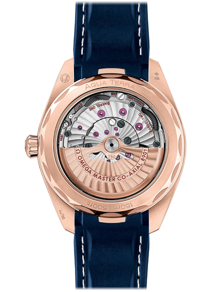 Omega Seamaster Aqua Terra 150M 220.52.41.21.03.001 Omega Seamaster Aqua Terra 150M 220.52.41.21.03.001