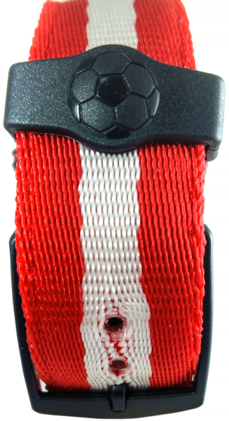 Calcio Spartak Calcio Spartak