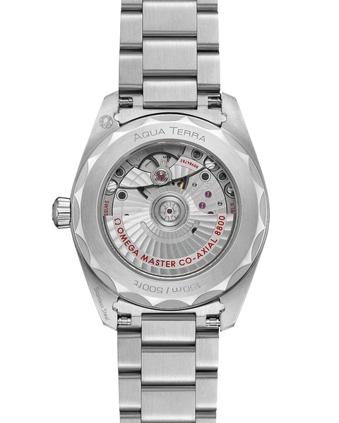 Omega Seamaster Aqua Terra 150M 220.10.38.20.10.003