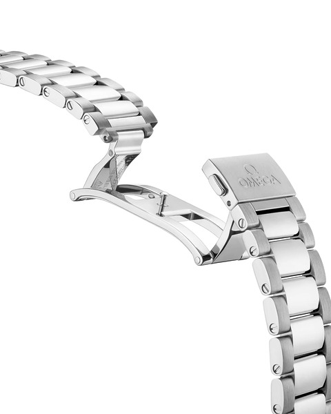 Omega Seamaster Aqua Terra 150M 220.10.41.21.02.004