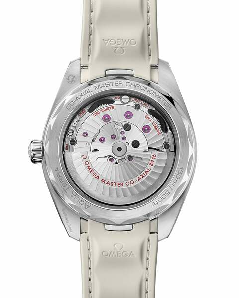 Omega Seamaster Aqua Terra 220.12.41.21.02.005