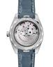 Omega Seamaster Aqua Terra 220.12.41.21.03.005