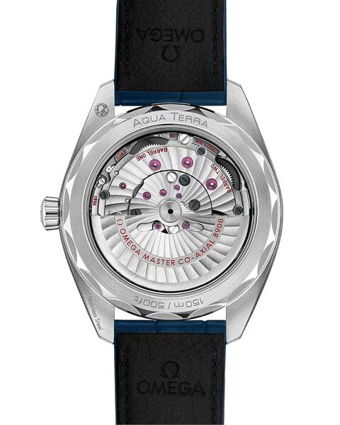 Omega Seamaster Aqua Terra 150M 220.13.41.21.03.003 Omega Seamaster Aqua Terra 150M 220.13.41.21.03.003