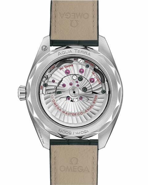 Omega Seamaster Aqua Terra 150M 220.13.41.21.10.001 Omega Seamaster Aqua Terra 150M 220.13.41.21.10.001