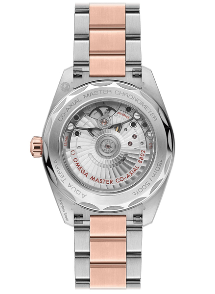 Omega Seamaster Aqua Terra 150M 220.20.38.20.10.001 Omega Seamaster Aqua Terra 150M 220.20.38.20.10.001