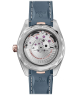 Omega Seamaster Aqua Terra 220.22.41.21.03.001