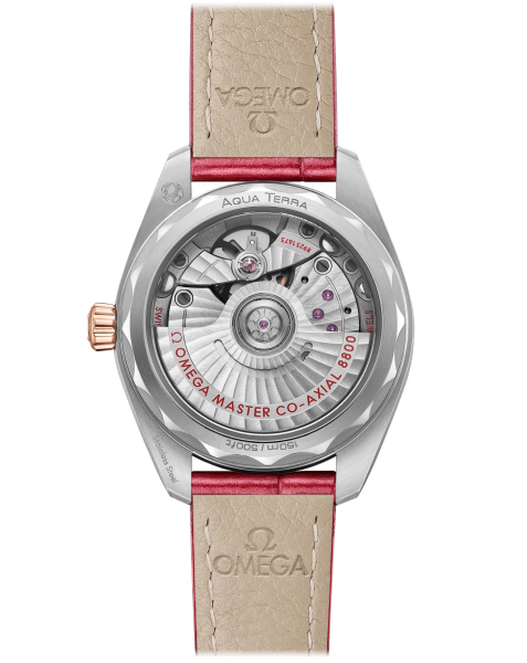 Omega Seamaster Aqua Terra 150M 220.23.34.20.60.001 Omega Seamaster Aqua Terra 150M 220.23.34.20.60.001