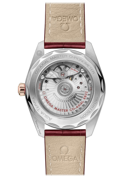 Omega Seamaster Aqua Terra 150M 220.23.38.20.59.001 Omega Seamaster Aqua Terra 150M 220.23.38.20.59.001