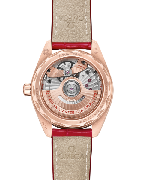 Omega Seamaster Aqua Terra 150M 220.58.34.20.99.001 Omega Seamaster Aqua Terra 150M 220.58.34.20.99.001