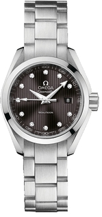 Omega Seamaster Aqua Terra 231.10.30.60.56.001