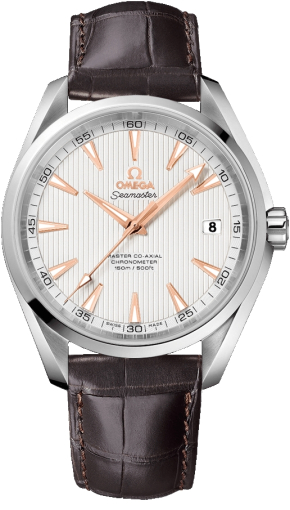 Omega Seamaster Aqua Terra 231.13.42.21.02.003