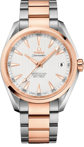 Omega Seamaster Aqua Terra 231.20.42.21.02.001