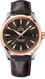 Omega Seamaster Aqua Terra 231.23.42.21.06.003