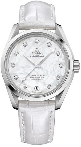 Omega Seamaster Aqua Terra 231.13.39.21.55.002