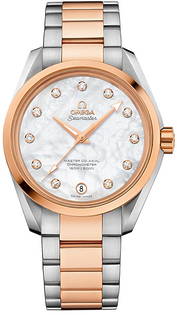 Omega Seamaster Aqua Terra 231.20.39.21.55.003