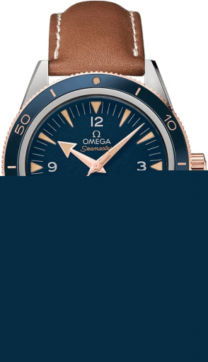 Omega Seamaster 300 233.62.41.21.03.001