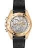 Omega Speedmaster Moonwatch Professional 310.62.42.50.99.001