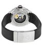 Alpina Seastrong Diver 300 AL-525LB4V36  