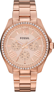 Fossil Cecile AM4483