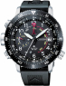 Citizen Promaster BN4044-15E