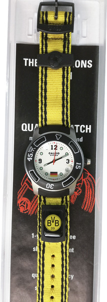 Calcio Borussia Calcio Borussia