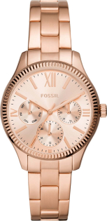 Fossil BQ3691