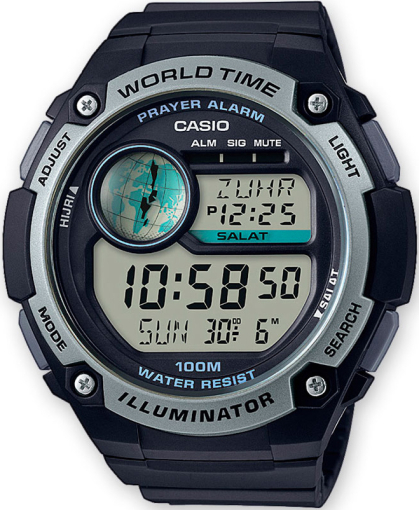 casio cpa100