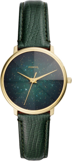 Fossil Prismatic Galaxy ES4730