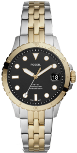 Fossil ES4745