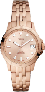 Fossil ES4748