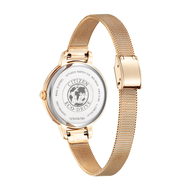 Citizen Eco-Drive EW2447-89A