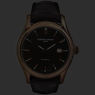 Frederique Constant Clear Vision FC-303C6B4