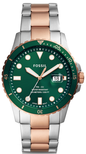 Fossil FS5743