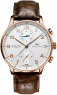 IWC Portugieser Chronograph IW371480