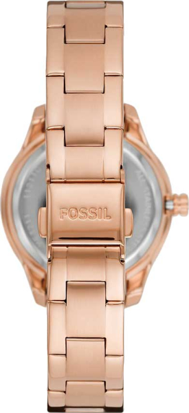 Fossil Stella ME3211