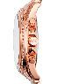 Michael Kors Blair MK5943