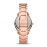 Michael Kors MK6893