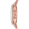 Michael Kors MK6893