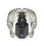 Philipp Plein The Skull PWAAA0821