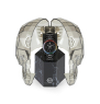 Philipp Plein Queen PWDAA0921