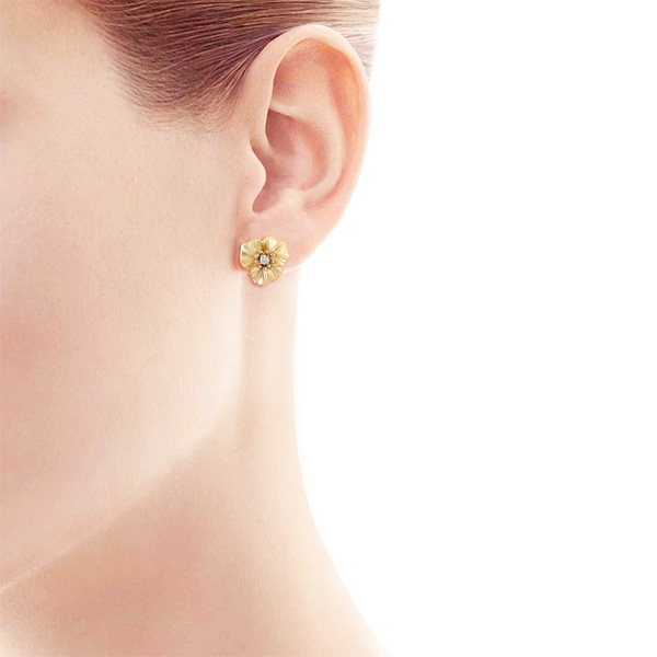 Альдзена С-14009