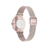 Salvatore Ferragamo Minuetto SF8200619