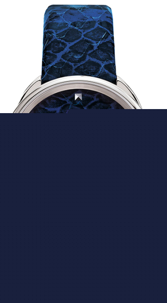 Salvatore Ferragamo Cuir SFAY00119