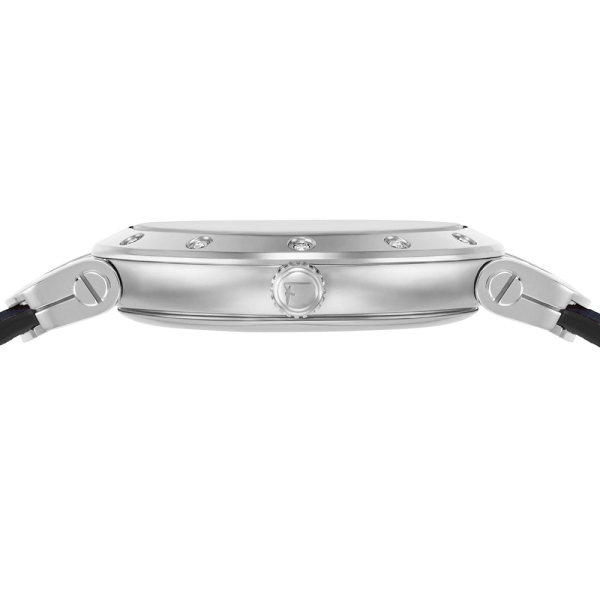 Salvatore Ferragamo Ferragamo Style SFDM00418